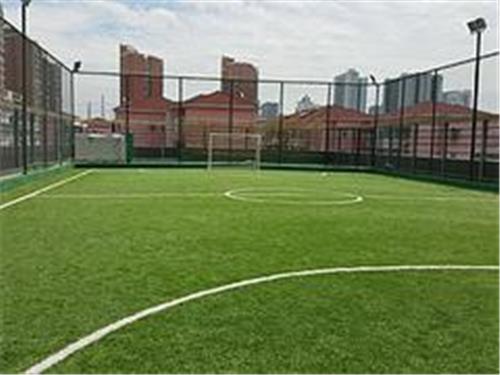 专业的足球场施工就在上海力恒，{yl}的足球场施工