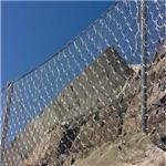 环形网制造-安德森边坡防护制品公司