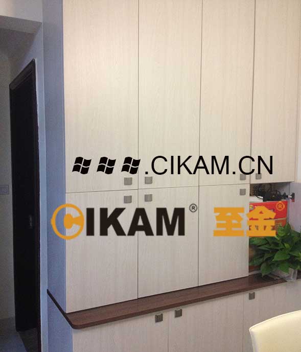 至金CIKAM-铝蜂窝板「整体金属衣柜」厂家