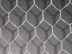 衡水地区专业生产优良的镀锌六角网——优质镀锌六角网