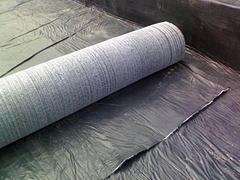 德州哪有供应实惠的覆膜型膨润土防水毯|便宜的膨润土防水毯