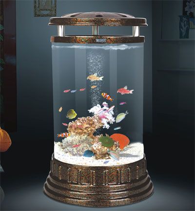 德州价位合理的圆筒有机玻璃鱼缸哪里可以买到|观赏鱼缸价格如何