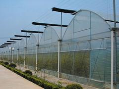 优质的连栋温室就在金枝温室工程|花卉温室配件