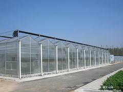 阳光板大棚~阳光板温室价格~阳光板温室建造【质量杠杠的】