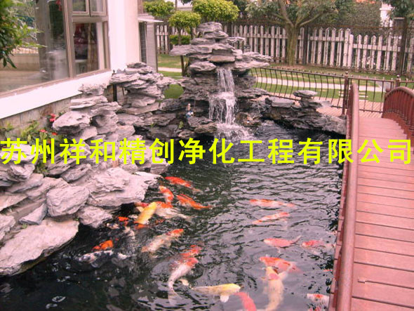 嘉兴青苔绿藻假山喷泉别墅庭院鱼池——江苏可靠的鱼池水处理水净化公司