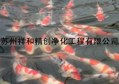 山东省zmqy，鱼池水净化单位过滤器销售。