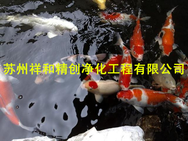 江苏yz的鱼池水处理公司，昆山环保水净化