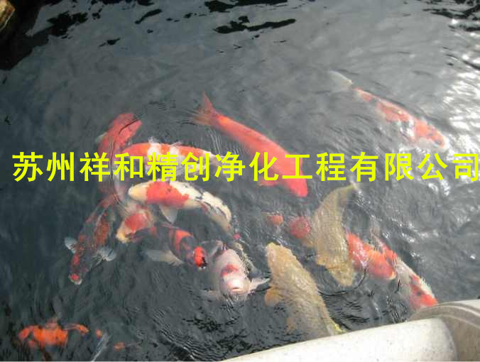 鱼池水处理可信赖——江苏值得信赖鱼池水处理公司