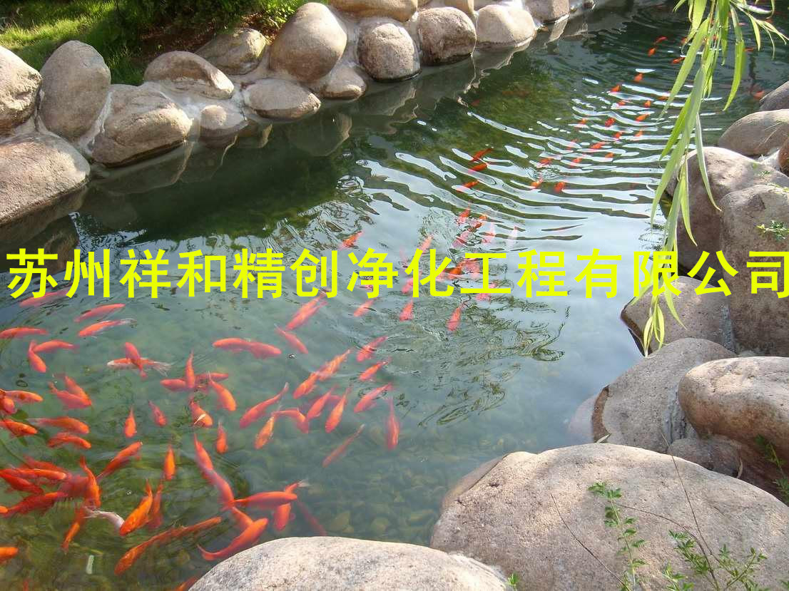 北京别墅 企业单位鱼池水处理，qc青苔绿藻。