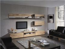 创新型的挪亚家客厅家具 【荐】物超所值的挪亚家客厅家具供销