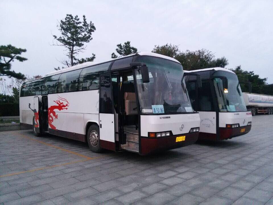 重庆青岛旅游|山东专业的自由行包车哪家提供