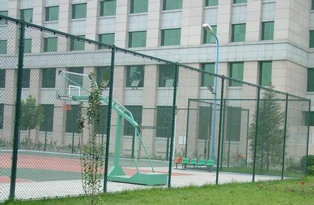 国际儿童日々河北厂家宏州供应球场围栏网，质量棒棒哒