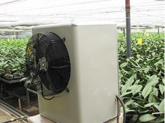 潍坊新型的园艺暖风机出售：园艺暖风机供应