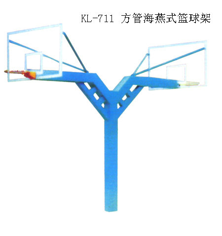 购买健华体育的质量硬的海燕式篮球架怎么样  篮球架价格