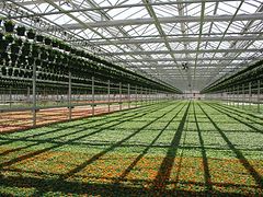 福建阳光板温室大棚供应|福州阳光板温室大棚