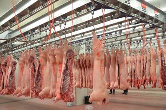 合肥肉品冷库【工程造价】合肥肉品冷库施工公司|肉品冷库设备