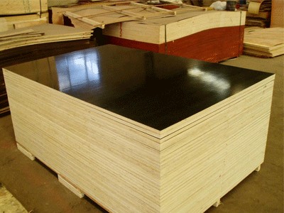 潍坊宏达木业可信赖的三六尺建筑模板销售商 山东建筑模板
