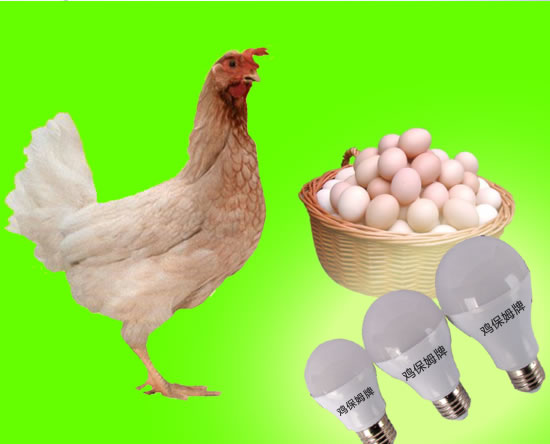 鸡舍专用LED灯批发价格 鸡保姆鸡舍专用LED灯厂家专卖