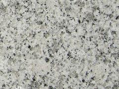 芝麻白花岗石供应商 供应福建优质的芝麻白花岗石