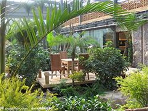 高质量的园艺温室建造就在金阳温室工程公司_园艺温室哪家好