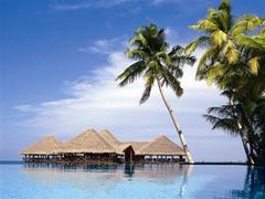 哪家公司有提供优惠的沈阳到海南旅游：到三亚旅游多少钱