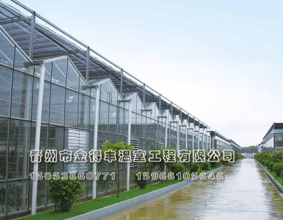 专业连栋温室建设，玻璃连栋温室建设，专业花卉温室建设