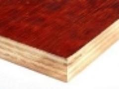 桂林板厂提供的松木面模板牌子怎么样——厂家直销适用性