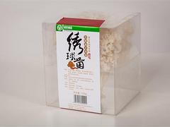 绣球菌专卖店，哪儿有xjb高的绣球菌批发市场