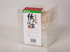 绣球菌供货商：超值的绣球菌，福建容益菌业供应
