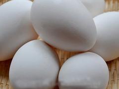 白鹅蛋价格_信誉好的白鹅蛋提供商，当属润蒲核桃种植有限公司