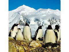 {yl}的冬令营，创梦文化是具有品牌的经典南极半岛奇航机构