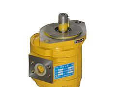 耐用的高压齿轮油泵_xjb高的高压齿轮油泵，青州金星机械倾力推荐