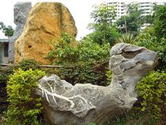 海南塑石假山|出售海口耐用的海南塑石假山