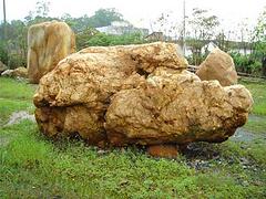 三亚自然景观石|【供销】海南划算的海南自然景观石