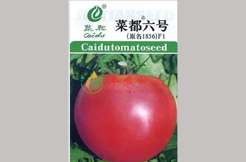 番茄六号种子/批发番茄六号种子/销售番茄六号种子/丰农