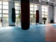 贵州跆拳道培训——有信誉度的贵州跆拳道培训基地---上义跆拳道馆