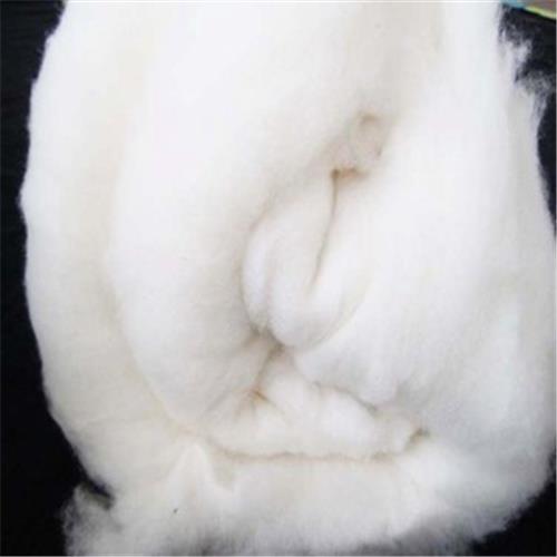 许昌哪里有提供好用的棉纱——承德棉花
