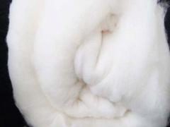 鄢陵棉花——许昌质量好的棉纱推荐