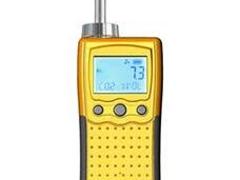 氢气监测仪供销，供不应求的固定式带警报氢气监测仪品牌推荐