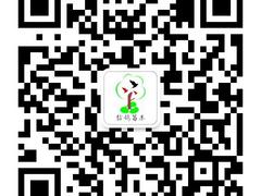 江西绿化苗木供应厂家：供应江西畅销的崇义绿化苗木