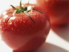 哪儿有信誉好的有机西红柿批发市场 有机蔬菜怎么样
