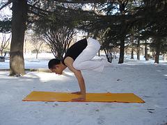 山东信誉好的瑜伽导师培训|威海瑜伽导师培训