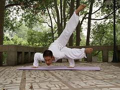 山东高水平的瑜伽培训倾力推荐——张店瑜伽培训机构