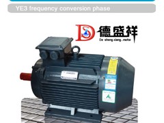 郑州德盛祥提供耐用的ye3电机——YE3电机生产厂家