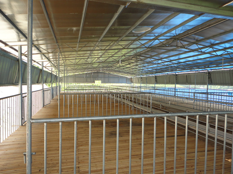 yz黑山羊养殖场：山羊养殖技术