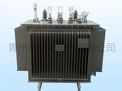 购买xjb高的电力变压器优选华电电气 _电力变压器供应商