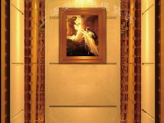 知名的电梯装潢讯息   ：黑龙江电梯装潢