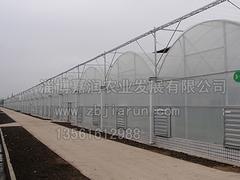 连栋温室工程建造价格：哪里有提供超值的连栋温室