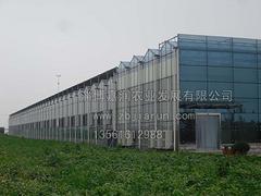 山东智能温室建设造价是多少_承建智能温室