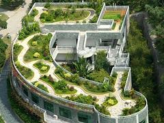 郑州专业的屋顶绿化公司是哪家：供应屋顶绿化